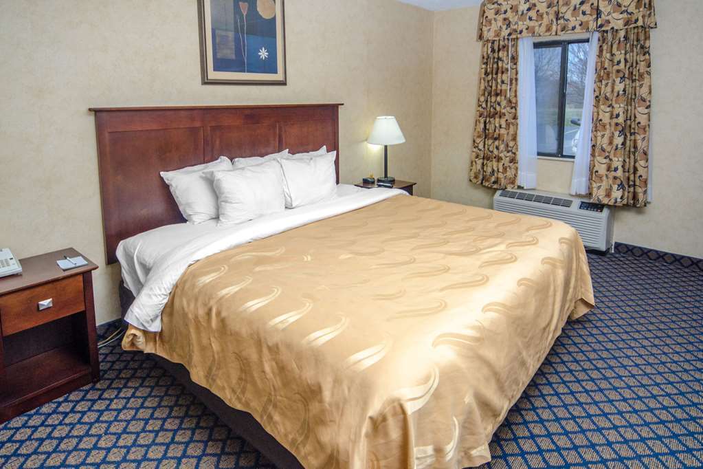 Quality Inn & Suites Coldwater Near I-69 Oda fotoğraf